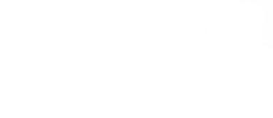 鮮度が決め手